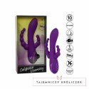 CalExotics Long Beach Bootylicious fioletowy - model wielofunkcyjny z trzema silnikami CALEXOTICS