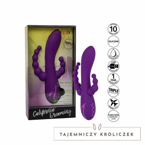 CalExotics Long Beach Bootylicious fioletowy - model wielofunkcyjny z trzema silnikami CALEXOTICS