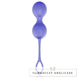 MR BOSS DUMAS KEGEL Pilot Zdalny Silikonowy Trenażer Mięśni USB IPX7 MR. BOSS