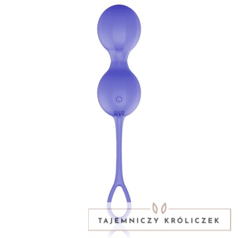 MR BOSS DUMAS KEGEL Pilot Zdalny Silikonowy Trenażer Mięśni USB IPX7 MR. BOSS