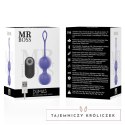 MR BOSS DUMAS KEGEL Pilot Zdalny Silikonowy Trenażer Mięśni USB IPX7 MR. BOSS