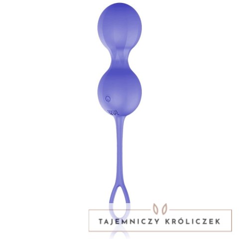 MR BOSS DUMAS KEGEL Pilot Zdalny Silikonowy Trenażer Mięśni USB IPX7 MR. BOSS