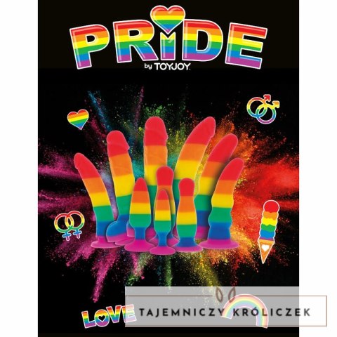 NS Novelties Pride Edition model z motywem tęczowym 15 cm PRIDE