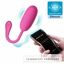 Pretty Love Catalina - Rożowy system wibracyjny z aplikacją, USB PRETTY LOVE