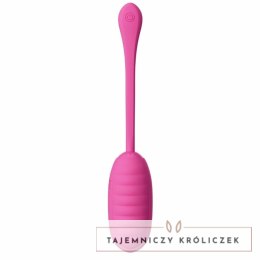Pretty Love Catalina - Rożowy system wibracyjny z aplikacją, USB PRETTY LOVE