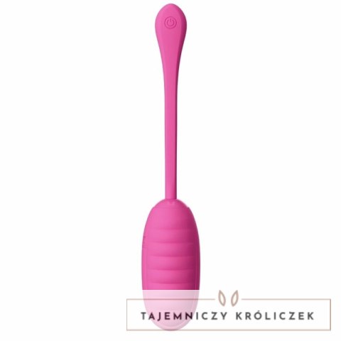 Pretty Love Catalina - Rożowy system wibracyjny z aplikacją, USB PRETTY LOVE