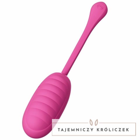 Pretty Love Catalina - Rożowy system wibracyjny z aplikacją, USB PRETTY LOVE