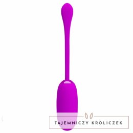 Pretty Love Julius Fioletowe Jajeczko Wibracyjne USB Wodoodporne PRETTY LOVE