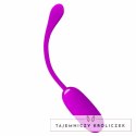 Pretty Love Julius Fioletowe Jajeczko Wibracyjne USB Wodoodporne PRETTY LOVE