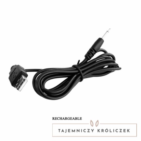 Pretty Love Julius Fioletowe Jajeczko Wibracyjne USB Wodoodporne PRETTY LOVE