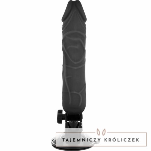 Basecock Model Zdalnie Sterowany Czarny 20 cm TPE 12 Trybow BASECOCK