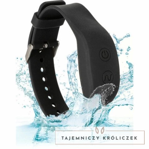 CalExotics XO Pilot na Nadgarstek do Zdalnej Kontroli, 22,75 cm, USB CALEXOTICS
