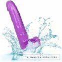CalExotics Size Queen Violet 20,3 cm - model anatomiczny z przyssawką CALEXOTICS