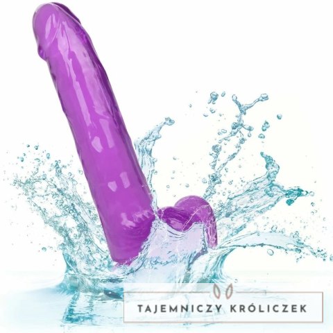 CalExotics Size Queen Violet 20,3 cm - model anatomiczny z przyssawką CALEXOTICS