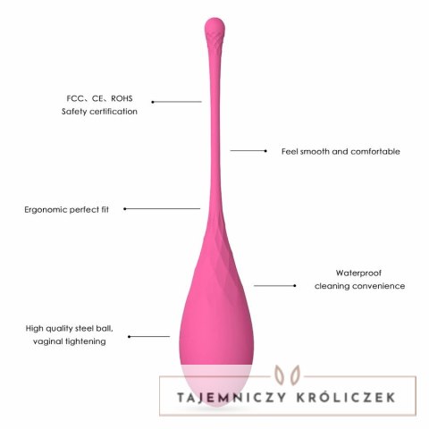 Leslie Zestaw Fit 6 Obciążnikow do Treningu Mięśni Kegla, silikonowy LESLIE