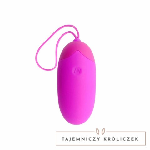 Pretty Love Berger - Jajko wibracyjne z pilotem, 12 trybow, ładowalne PRETTY LOVE