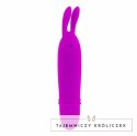 Pretty Love Boyce mini masażer liliowy 10 trybow wodoodporny PRETTY LOVE