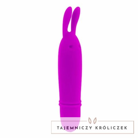 Pretty Love Boyce mini masażer liliowy 10 trybow wodoodporny PRETTY LOVE
