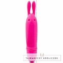 Pretty Love Boyce mini masażer liliowy 10 trybow wodoodporny PRETTY LOVE