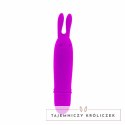 Pretty Love Boyce mini masażer liliowy 10 trybow wodoodporny PRETTY LOVE