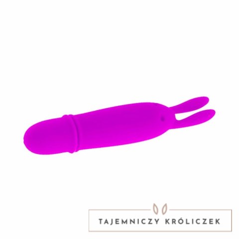 Pretty Love Boyce mini masażer liliowy 10 trybow wodoodporny PRETTY LOVE
