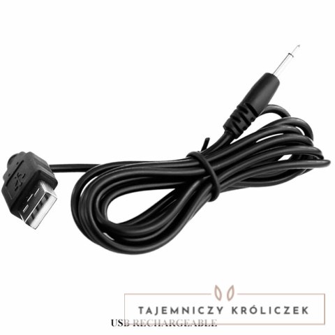 Pretty Love Cayla Masażer Prostaty Lila 12 Trybow Pilot USB PRETTY LOVE