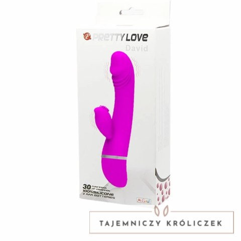 Pretty Love David - model z podwojnym silnikiem, silikonowy, 30 trybow PRETTY LOVE