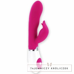 Pretty Love Felix - Wibrator Flirtowy ze Stymulatorem, 21 cm, fioletowy PRETTY LOVE
