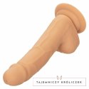 CalExotics Dong silikonowy 15,24 cm skora z przyssawką elastyczny CALEXOTICS