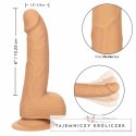 CalExotics Dong silikonowy 15,24 cm skora z przyssawką elastyczny CALEXOTICS