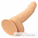 CalExotics Dong silikonowy 15,24 cm skora z przyssawką elastyczny CALEXOTICS