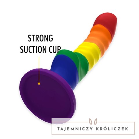 Mythology Colby Pride M - silikonowy model anatomiczny z przyssawką, tęczowy MYTHOLOGY FANTASY