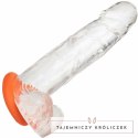 CalExotics Alpha Prolong silikonowy pierścień intymny duży pomarańczowy CALEXOTICS