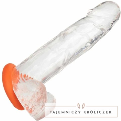 CalExotics Alpha Prolong silikonowy pierścień intymny duży pomarańczowy CALEXOTICS