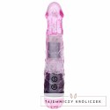 Baile Model Rabbit 10 Trybow Wielofunkcyjny Masażer Intymny Rożowy BAILE