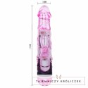 Baile Model Rabbit 10 Trybow Wielofunkcyjny Masażer Intymny Rożowy BAILE