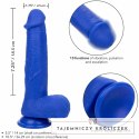 CalExotics Admiral Blue anatomiczny wibrator silikonowy z przyssawką 18,5 cm CALEXOTICS