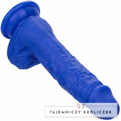 CalExotics Admiral Sailor silikonowy model wibrujący niebieski 16 cm IPX7 CALEXOTICS