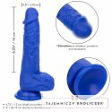 CalExotics Admiral Sailor silikonowy model wibrujący niebieski 16 cm IPX7 CALEXOTICS