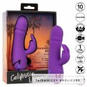 CalExotics Manhattan Beach Marvel fioletowy stymulator podwojny IPX7 CALEXOTICS