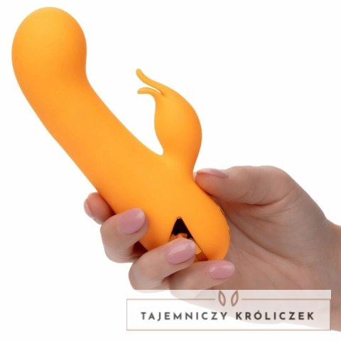 CalExotics Montecito Muse Orange - wielofunkcyjny stymulator z systemem pompowania CALEXOTICS