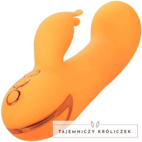 CalExotics Montecito Muse Orange - wielofunkcyjny stymulator z systemem pompowania CALEXOTICS