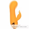 CalExotics Montecito Muse Orange - wielofunkcyjny stymulator z systemem pompowania CALEXOTICS