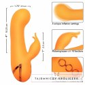 CalExotics Montecito Muse Orange - wielofunkcyjny stymulator z systemem pompowania CALEXOTICS