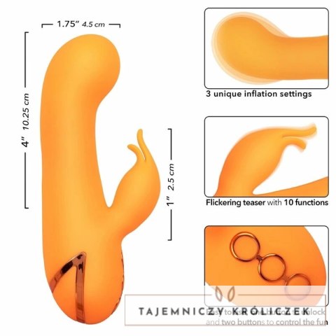 CalExotics Montecito Muse Orange - wielofunkcyjny stymulator z systemem pompowania CALEXOTICS