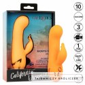 CalExotics Montecito Muse Orange - wielofunkcyjny stymulator z systemem pompowania CALEXOTICS