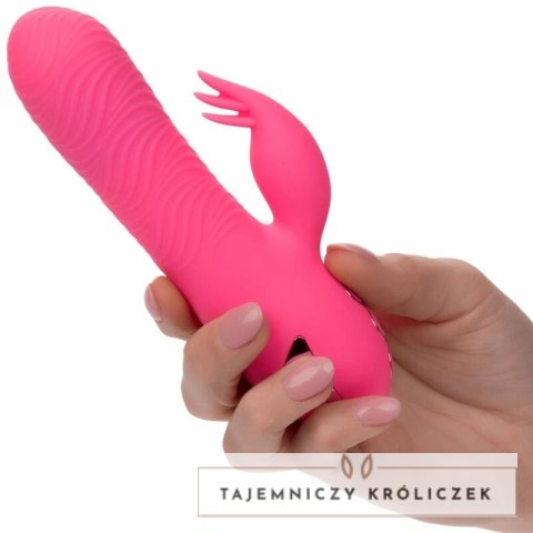 CalExotics Sacramento Sweetie Kalifornijski Wibrator Krolik Rożowy USB CALEXOTICS
