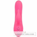 CalExotics Sacramento Sweetie Kalifornijski Wibrator Krolik Rożowy USB CALEXOTICS