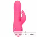CalExotics Sacramento Sweetie Kalifornijski Wibrator Krolik Rożowy USB CALEXOTICS