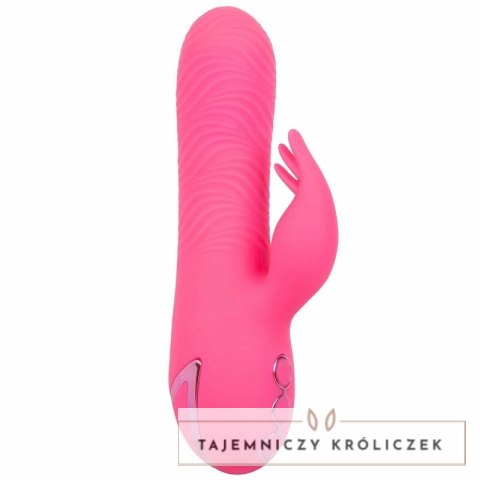 CalExotics Sacramento Sweetie Kalifornijski Wibrator Krolik Rożowy USB CALEXOTICS